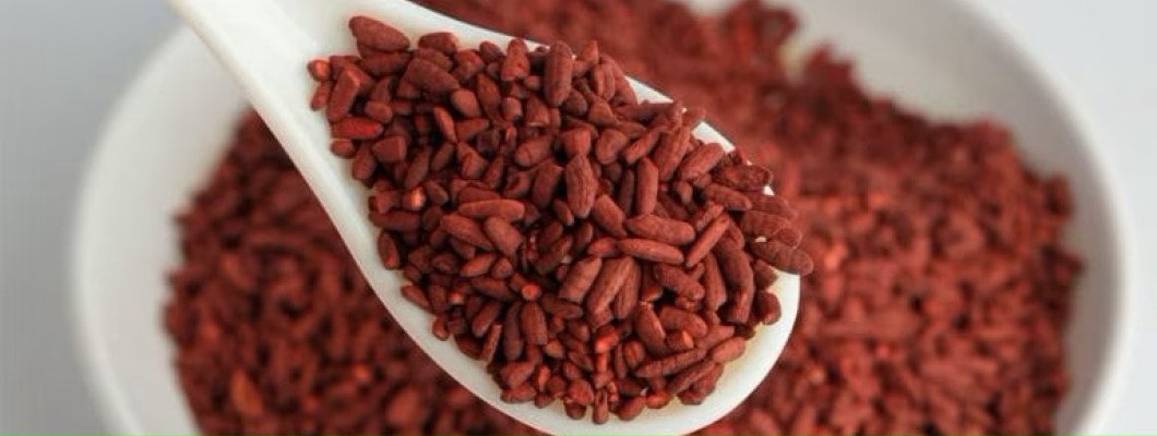 Wat is rode rijstgist?