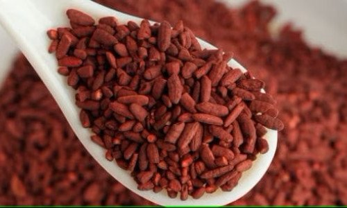 <p class="fontsizepx">¿Qué es la levadura de arroz rojo?</p>